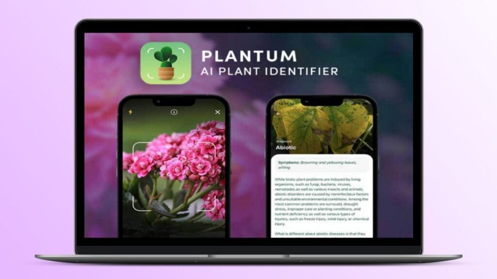 Plantum Lifetime Deal