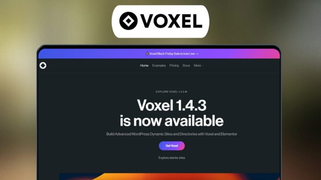 Voxel Lifetime Deal