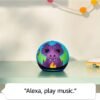 Amazon Echo Dot Kids (newest model), Designed for kids, with parental controls, Includes 1 Year of Amazon Kids+, Owl