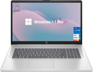 HP 17t Performance Business Laptop, 17.3" FHD, Intel Core i7-1355U, 64GB RAM, 4TB SSD, Fingerprint Reader, HDMI, SuperSpeed USB, Wi-Fi 6, Backlit Keyboard, Windows 11 Pro, Silver