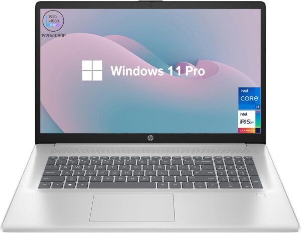 HP 17t Performance Business Laptop, 17.3" FHD, Intel Core i7-1355U, 64GB RAM, 4TB SSD, Fingerprint Reader, HDMI, SuperSpeed USB, Wi-Fi 6, Backlit Keyboard, Windows 11 Pro, Silver