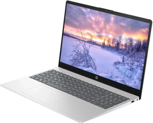 HP 15.6" Touchscreen Business Laptop, 64GB RAM 2.5TB Storage (2TB SSD+512GB Docking Station Set), 6-Cores Intel Core i3, Windows 11 Pro with Microsoft Office Lifetime Suite, PLUSERA Earphones, Silver