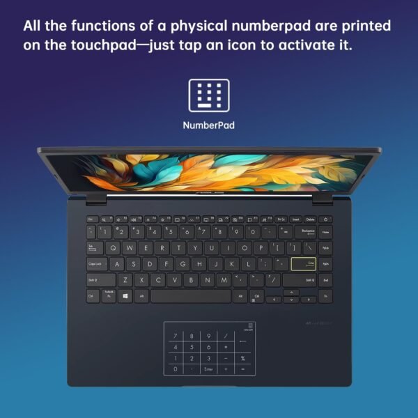 ASUS 14" FHD Linux Laptop, 4-Core Intel N6000 Processor, 4GB RAM, 64GB eMMC Storage + 256GB Portable SSD, Numeric Keypad, HDMI, Webcam, USB HUB+HDMI Cable, Linux Ubuntu OS