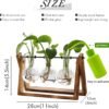 XXXFLOWER Plant Terrarium with Wooden Stand, Air Planter Bulb Glass Vase Metal Swivel Holder Retro Tabletop for Hydroponics Home Garden Office Decoration - 3 Bulb Vase