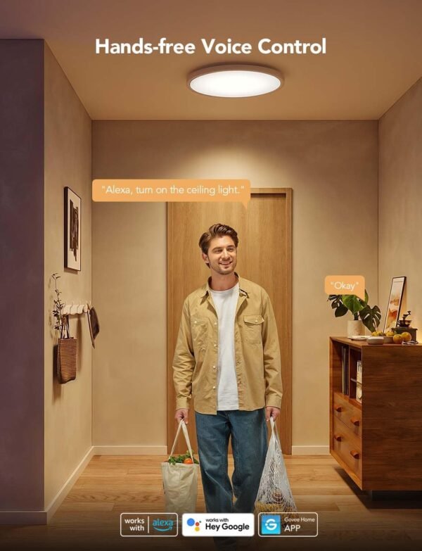 Govee Smart Ceiling Light, RGBIC LED Ceiling Light Fixture, 2400LM Flush Mount Light Fixture, DIY Colors, Works with Alexa, 2200K-6500K Ceiling Lights for Bedroom, Living Room, 12 Inch, 1 Pack