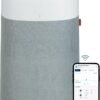 BLUEAIR Air Purifiers for Large Rooms, Cleans 3,048 Sqft In One Hour, HEPASilent Smart Air Cleaner For Home, Pets, Allergies, Virus, Dust, Mold, Smoke - Blue Pure 211i Max