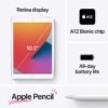 Apple iPad (10.2-inch, Wi-Fi + Cellular, 128GB) - Space Gray (Latest Model, 8th Generation) (Renewed)
