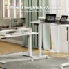 YDN Electric Standing Desk with Drawers, Adjustable Height Stand Up Desk, 48 inch Electric Sit Stand Computer Desk for Home Office, White