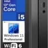 Lenovo ThinKCentre neo 50q Gen 4 Tiny 1L Business Mini Desktop Computer, 13th Gen Intel 8-Core i5-13420H (Beat i7-1355U), 16GB DDR4 RAM, 512GB PCIe SSD, 2 DisplayPorts, WiFi 6, Win 11 Pro, Vent-Hear